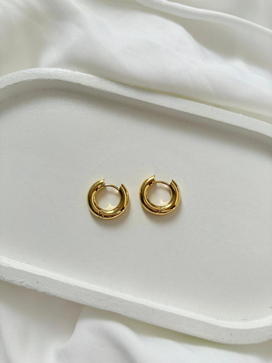 Sleek Gold Hoops